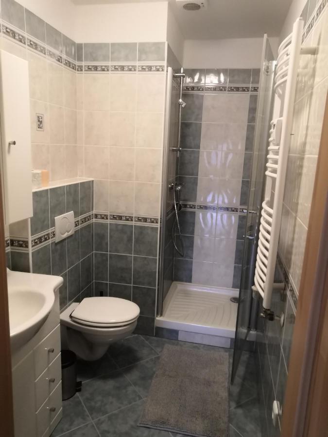 Apartment Lipno Sumava Pro 8 Hostu Lipno nad Vltavou Extérieur photo