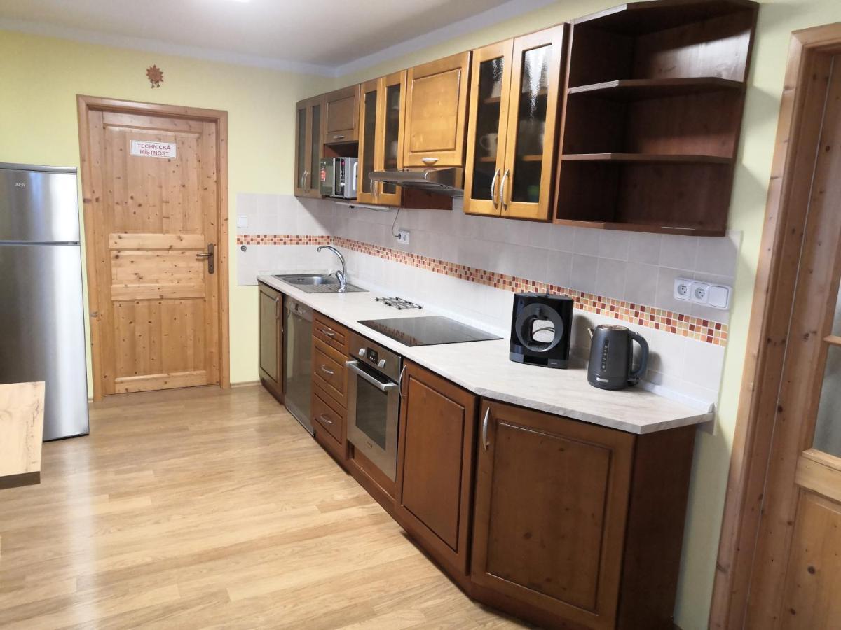 Apartment Lipno Sumava Pro 8 Hostu Lipno nad Vltavou Extérieur photo
