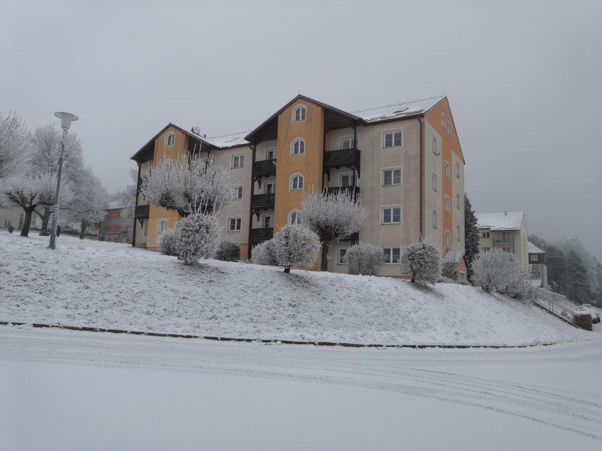 Apartment Lipno Sumava Pro 8 Hostu Lipno nad Vltavou Extérieur photo